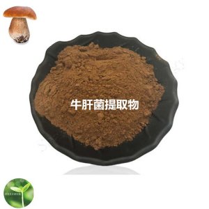 牛肝菌提取物可OEM/ODM代工