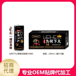 黑果花楸果汁饮料可OEM/ODM代工