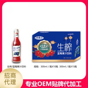 生榨蓝莓汁玻璃瓶300ml贴牌OEM/ODM