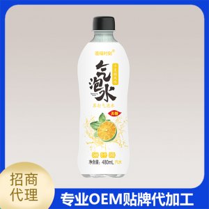 苏打气泡水 卡曼橘风味OEM/ODM定制代加工