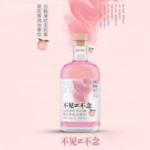 不等式蜜桃茉莉果酒300mlOEM代加工