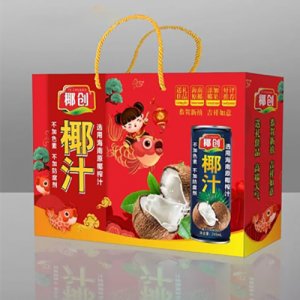 椰创椰汁风味饮料箱装OEM代加工