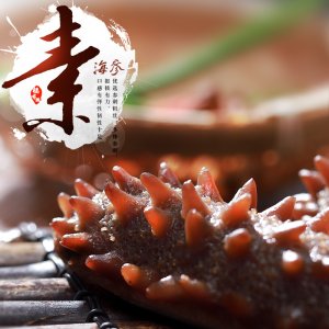 仿荤素海参刺参OEM代加工