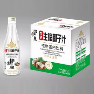 椰芝星（广东）食品有限公司