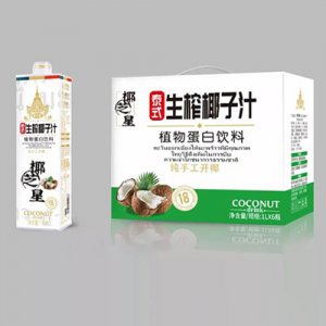 椰芝星（广东）食品有限公司