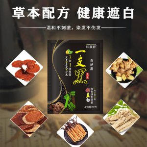 一洗彩旅行装染发膏贴牌OEM/ODM