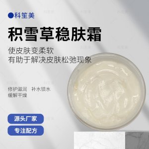 广东科笙美化妆品有限公司