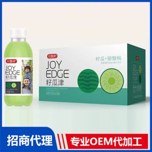 猕猴桃籽瓜复合果汁饮料1OEM/ODM定制代加工