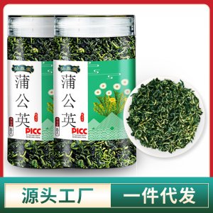 蒲公英茶婆婆丁40g罐装源头工厂 袋泡茶花茶叶批发礼盒装代工厂
