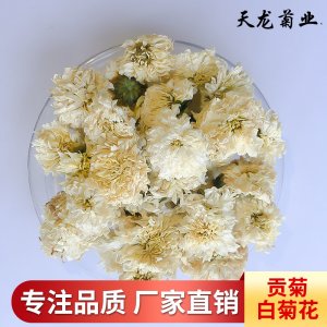 黃山貢菊散裝菊花茶源頭工廠 七月菊太陽菊原料貼牌定制