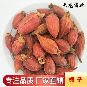 天龍茶業批發/花草茶/花果茶源頭工廠 紅梔子/小梔子/山梔子免費打樣