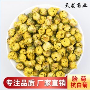 桐鄉頭采胎菊菊花茶散裝源頭工廠 杭白菊胎菊王無硫代加工