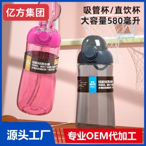 吸管杯直饮杯 大容量580ml水杯OEM代加工厂家