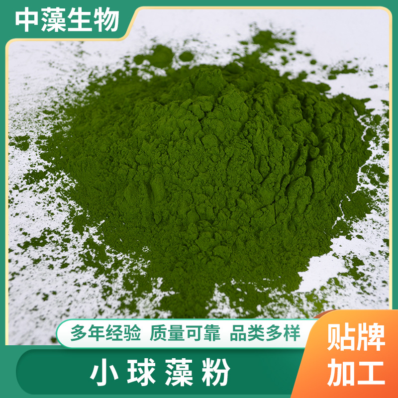 小球藻粉OEM代加工