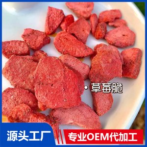 冻干水果脆OEM口味造型可定制儿童零食贴牌代工