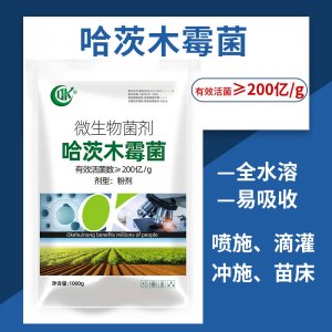 哈茨木霉菌 200亿微生物菌剂贴牌定制代加工