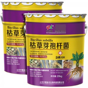 果树蔬菜生根壮苗改善土壤草莓白粉病专用水溶肥料OEM/ODM定制代加工