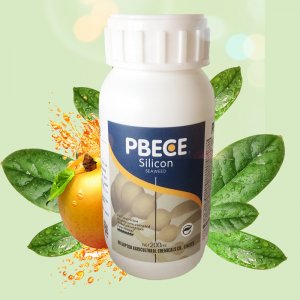 硅肥水溶肥 农用硅肥 酸性优硅 防虫抗病 抗倒伏 瓜果蔬菜专用肥