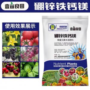 微量元素水溶肥 水果蔬菜水溶肥代加工贴牌OEM/ODM