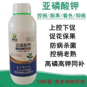 果树蔬菜用叶面肥高磷高钾肥