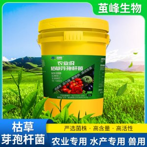 山东茧蜂生物科技有限责任公司