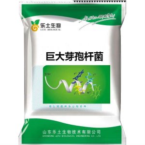 100亿 巨大芽孢杆菌原粉可OEM/ODM代工