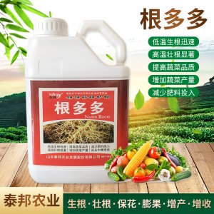 活菌根多多生根保花膨果 水溶肥低溫生根液
