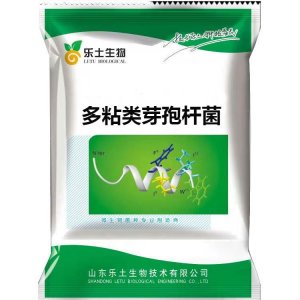 多粘类芽孢杆菌