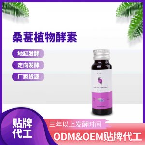 桑葚植物酵素口服液 OEM ODM代工贴牌 厂家货源 桑葚酵素酵素原液