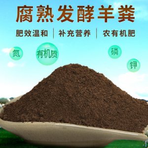羊糞有機肥批發純羊糞肥料雞糞有機肥
