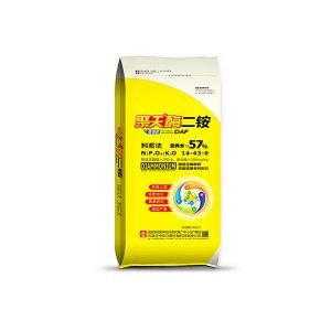 聚天酶二胺