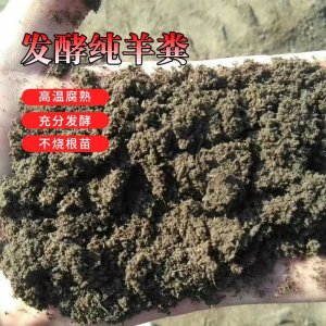 羊粪有机肥粪球纯羊粪蛋种莱羊粪 纯羊粪颗粒羊粪 纯羊粪肥