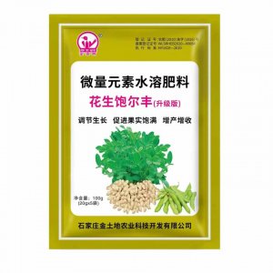 花生饱尔丰代加工贴牌OEM/ODM