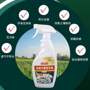 多肉植物专用营养液代加工贴牌OEM/ODM