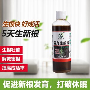 生根剂壮苗发根生根快速生根液OEM/ODM代加工