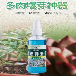 多肉肥料爆芽分裂叶面肥通用肥贴牌OEM/ODM