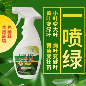 通用型黄叶变绿免稀释营养液贴牌OEM/ODM