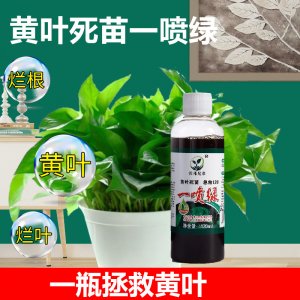 发财树专用营养液金钱树室内植物肥料