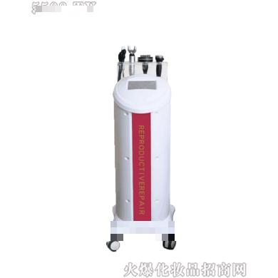 菲斯曼产后综合修复仪