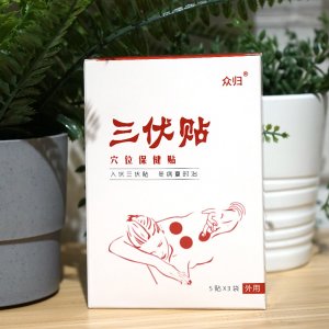 三伏贴代加工
