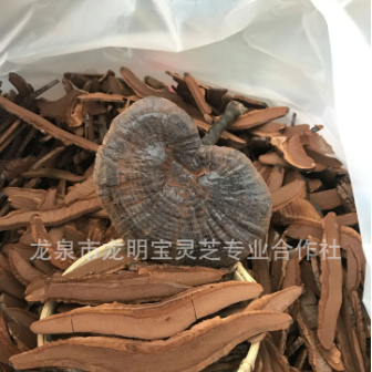 紫灵芝切片 黑灵芝片OEM贴牌代工