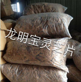 龙泉市龙明宝灵芝专业合作社