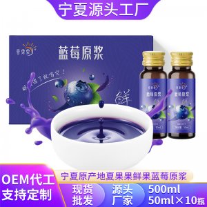 夏果果蓝莓原浆蓝莓汁500mlOEM代加工