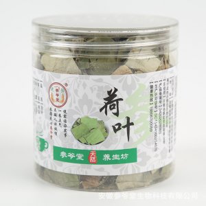 罐装干荷叶OEM代加工