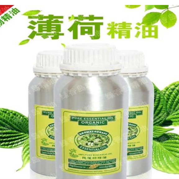 供应(薄荷)单方精油批发 薄荷精油厂家 薄荷植物精油OEM代工厂