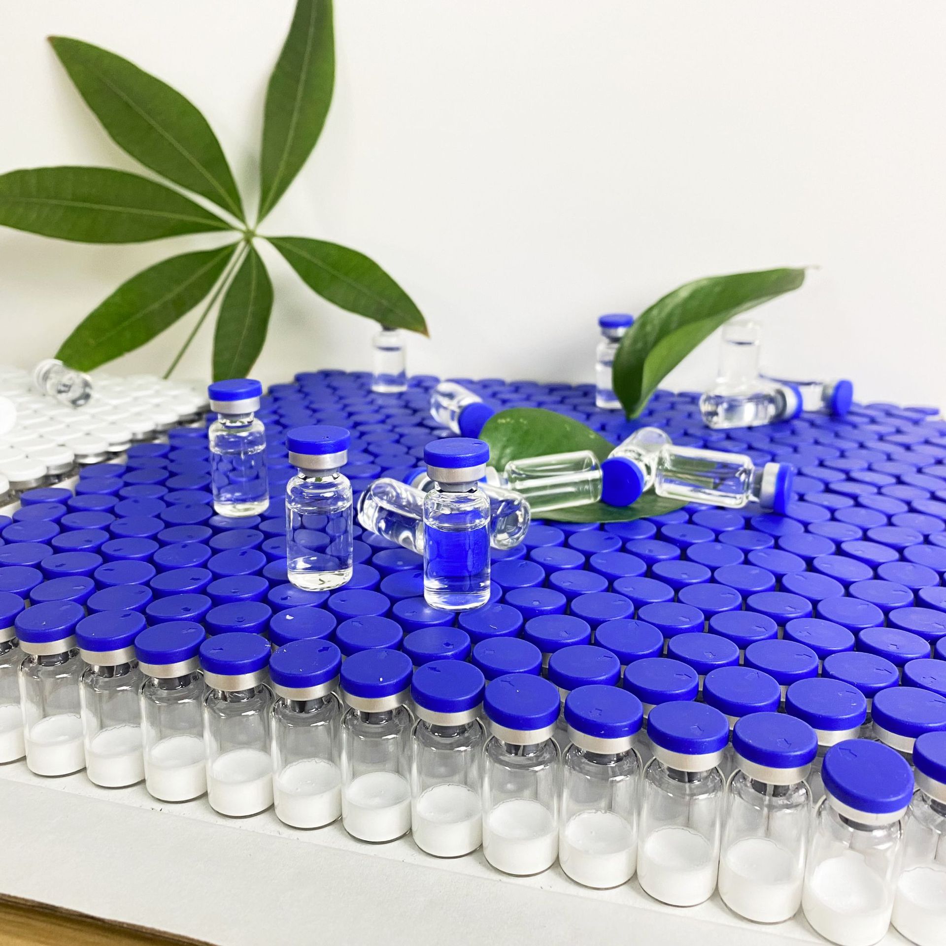 玻色因冻干粉多肽抗皱淡化细纹补水紧致OEM代工厂