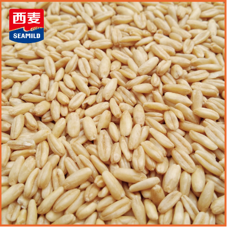 西麦澳洲燕麦米25kgoem贴牌代工