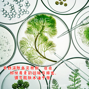 粉刺无痕水OEM代加工