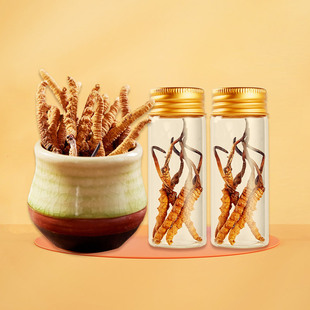 冬虫夏草可食用OEM代加工