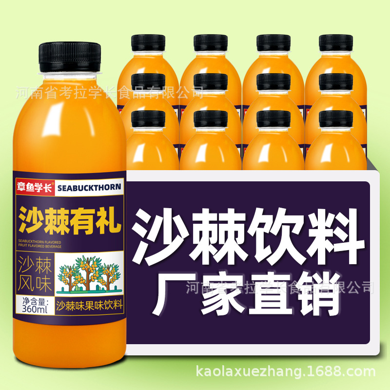 沙棘味果味饮料360ml瓶装爆款一件代发厂家直销沙棘汁OEM代加工
